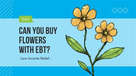 Can I Buy Flowers with EBT? Exploring the Intersection of Aesthetics and Assistance