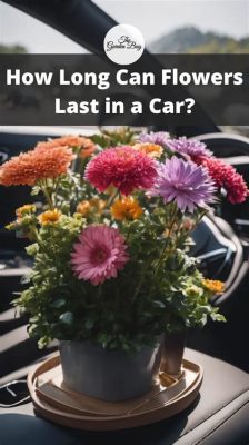 How Long Can Flowers Last in a Car Cold: A Symphony of Frost and Petals