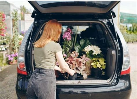 How Long Can Flowers Sit in a Car: A Journey Through Time and Temperature