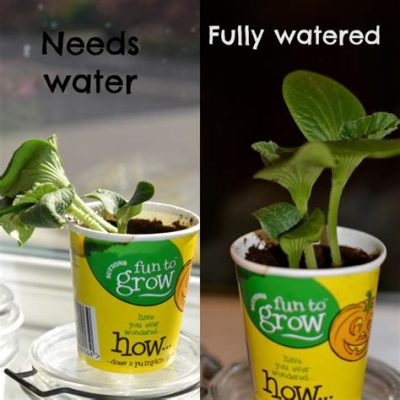 Is Hot Water Good for Flowers? And Why Do Some Plants Prefer a Warm Hug?